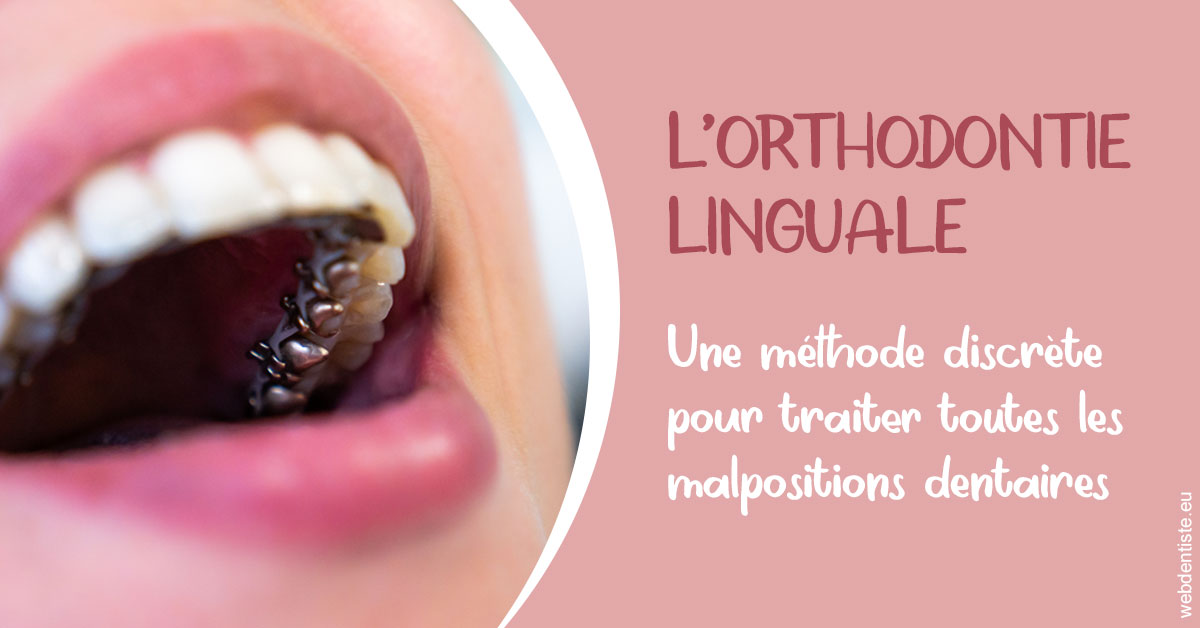 https://dr-khoury-georges.chirurgiens-dentistes.fr/L'orthodontie linguale 2