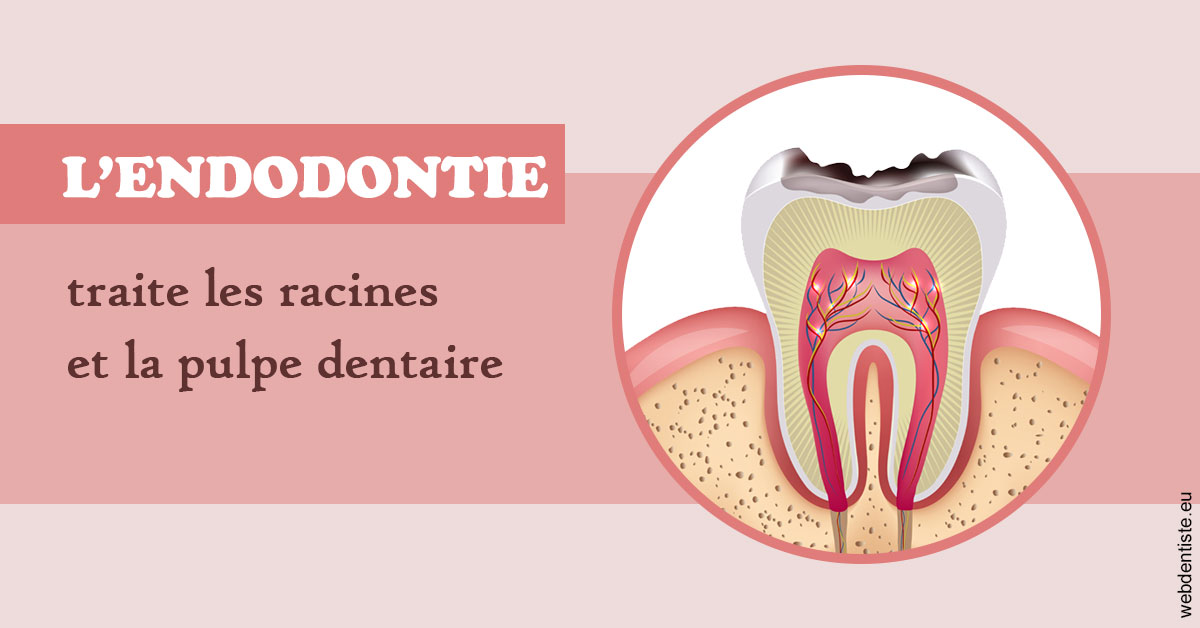 https://dr-khoury-georges.chirurgiens-dentistes.fr/L'endodontie 2