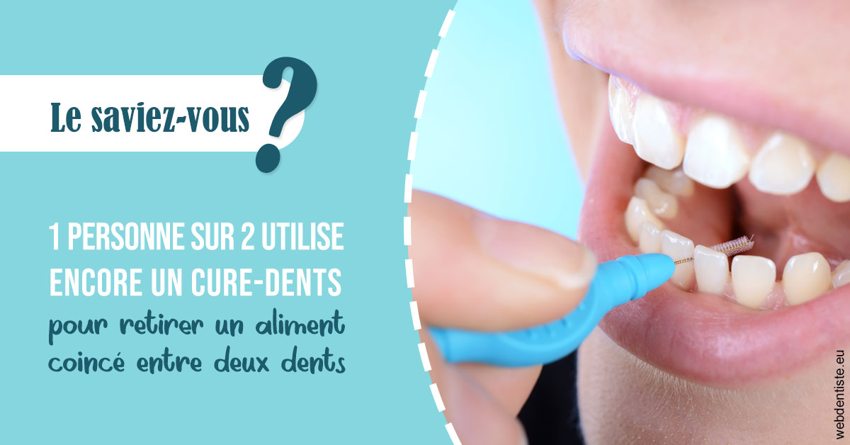 https://dr-khoury-georges.chirurgiens-dentistes.fr/Cure-dents 1